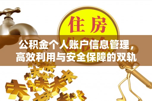 安新公积金个人账户信息管理，高效利用与安全保障的双轨并行