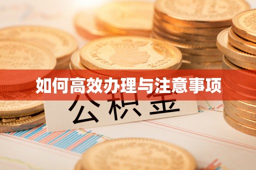 安新如何高效办理与注意事项