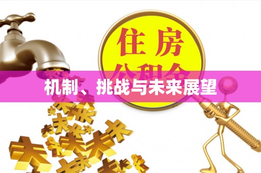 安新机制、挑战与未来展望